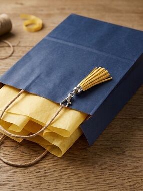 YNS Generic Navy Gift Bag with Yellow Tissue and Tassel